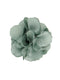 SAGE