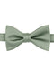 SAGE