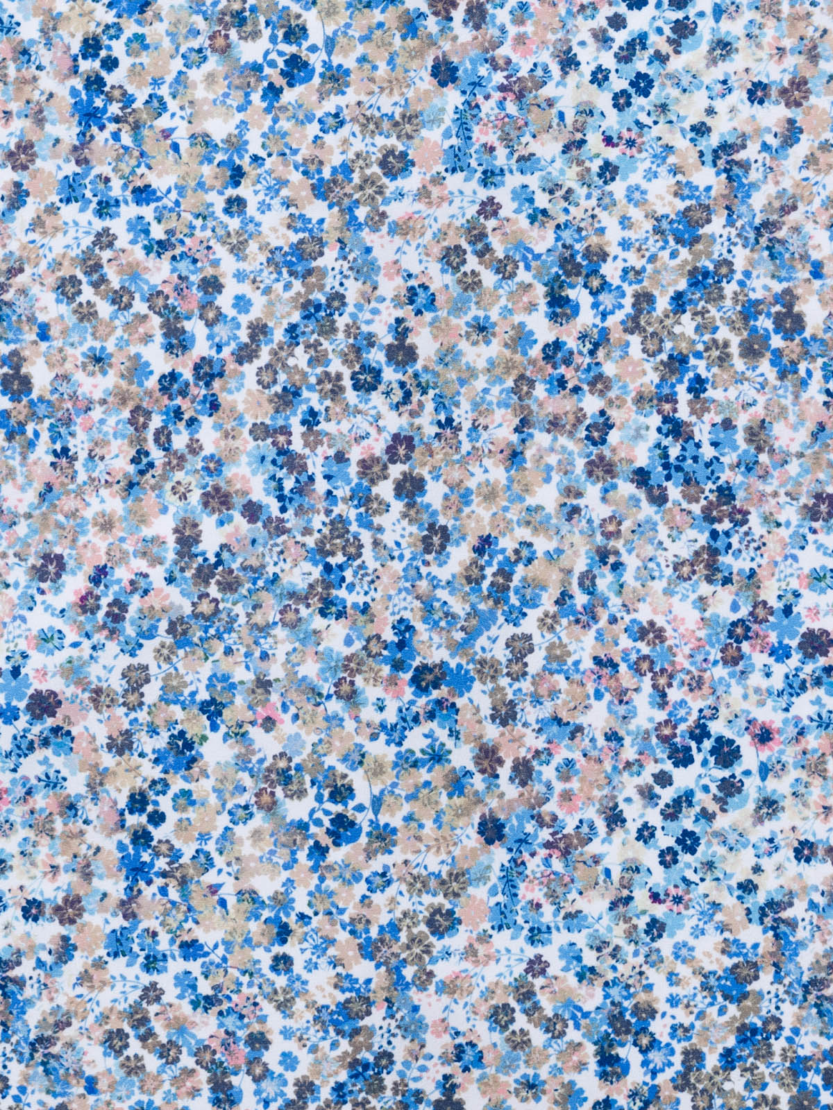 BROWN/BLUE