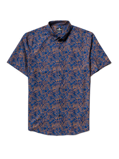 BROWN/BLUE