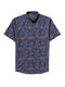 BROWN/BLUE