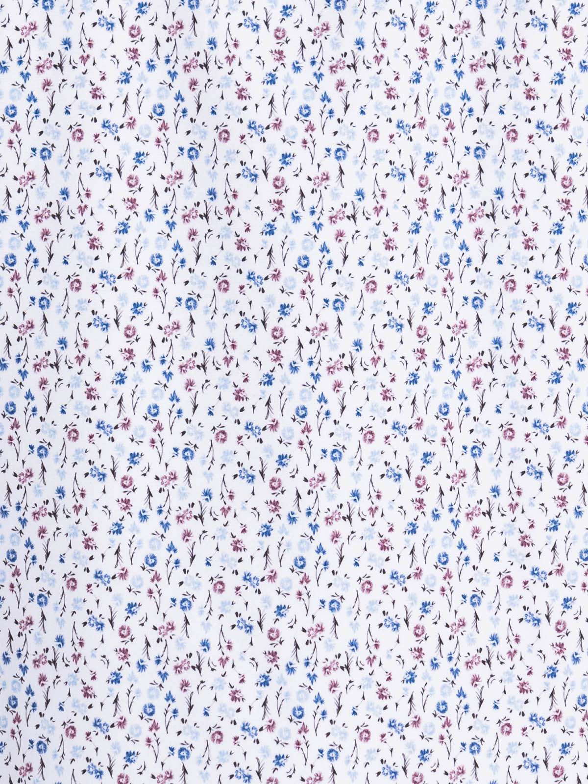 WHITE/BLUE