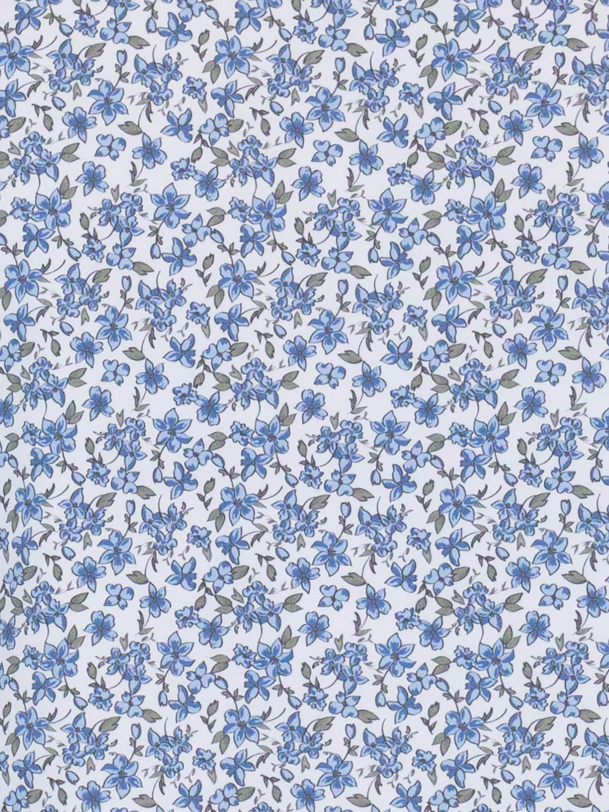 WHITE/BLUE