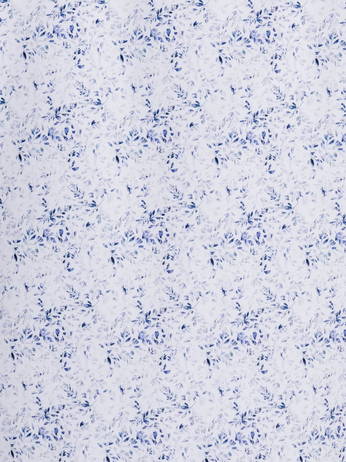 WHITE/BLUE