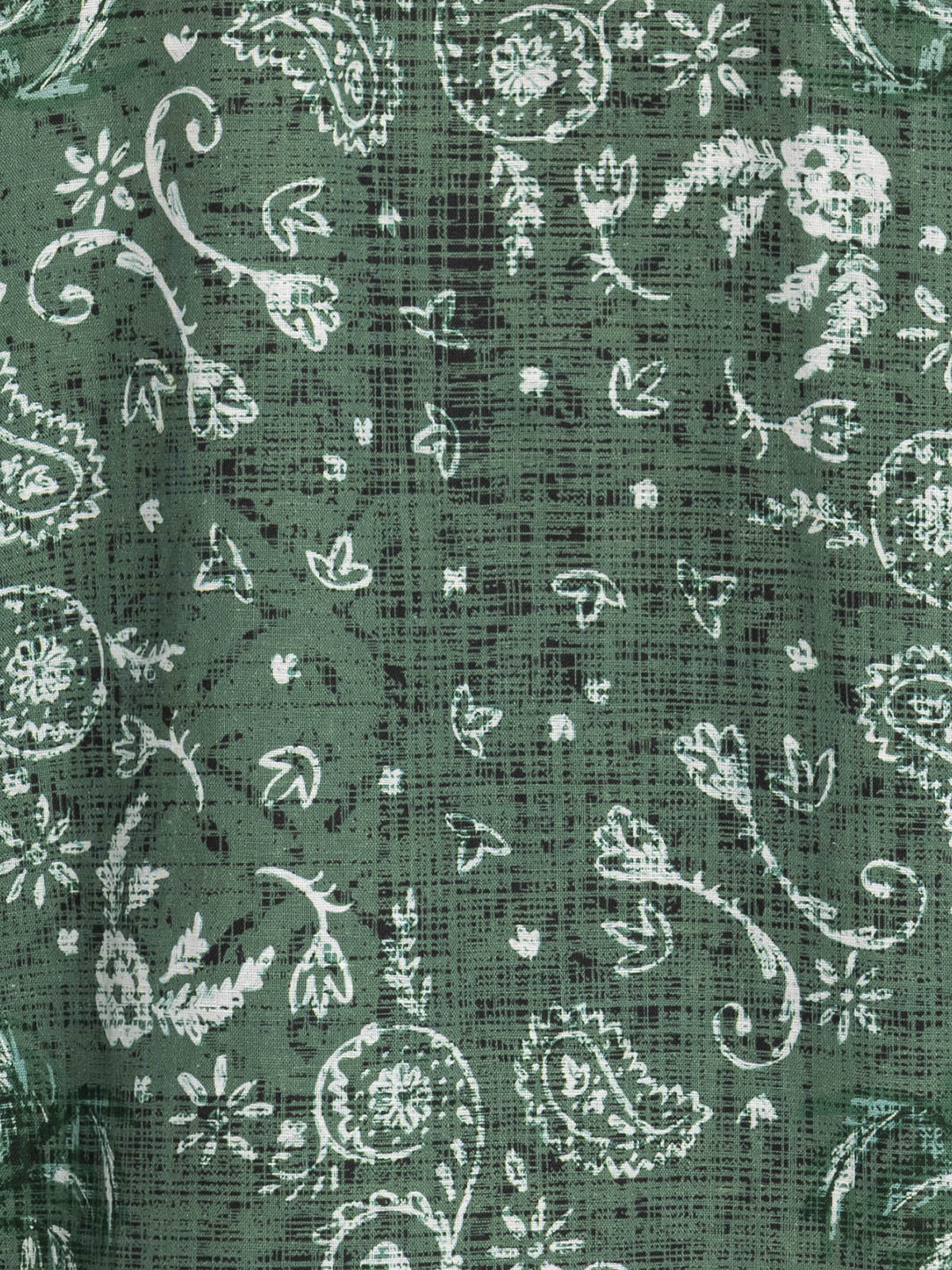 FERN