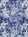 navy/blue