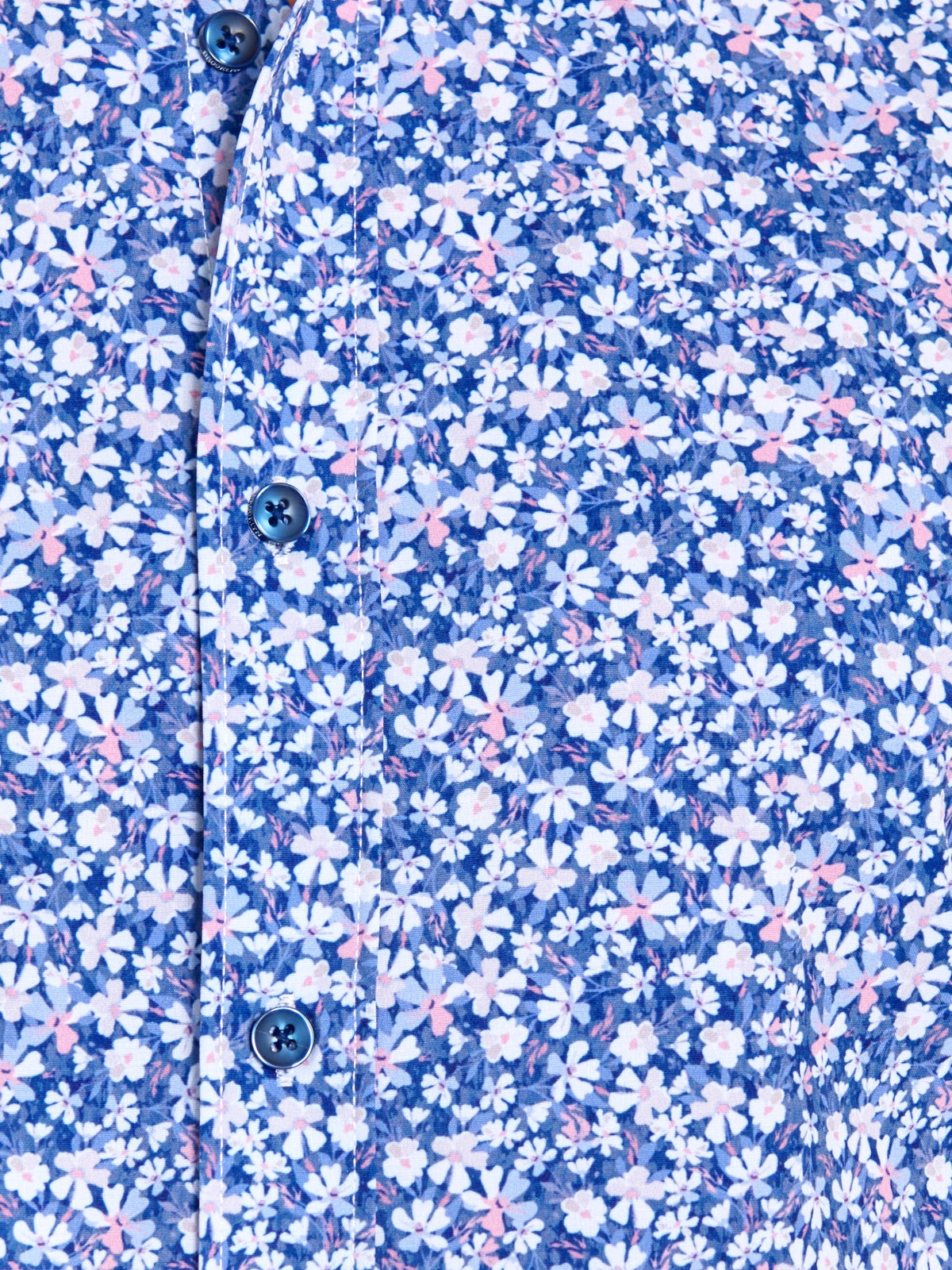 WHITE/BLUE