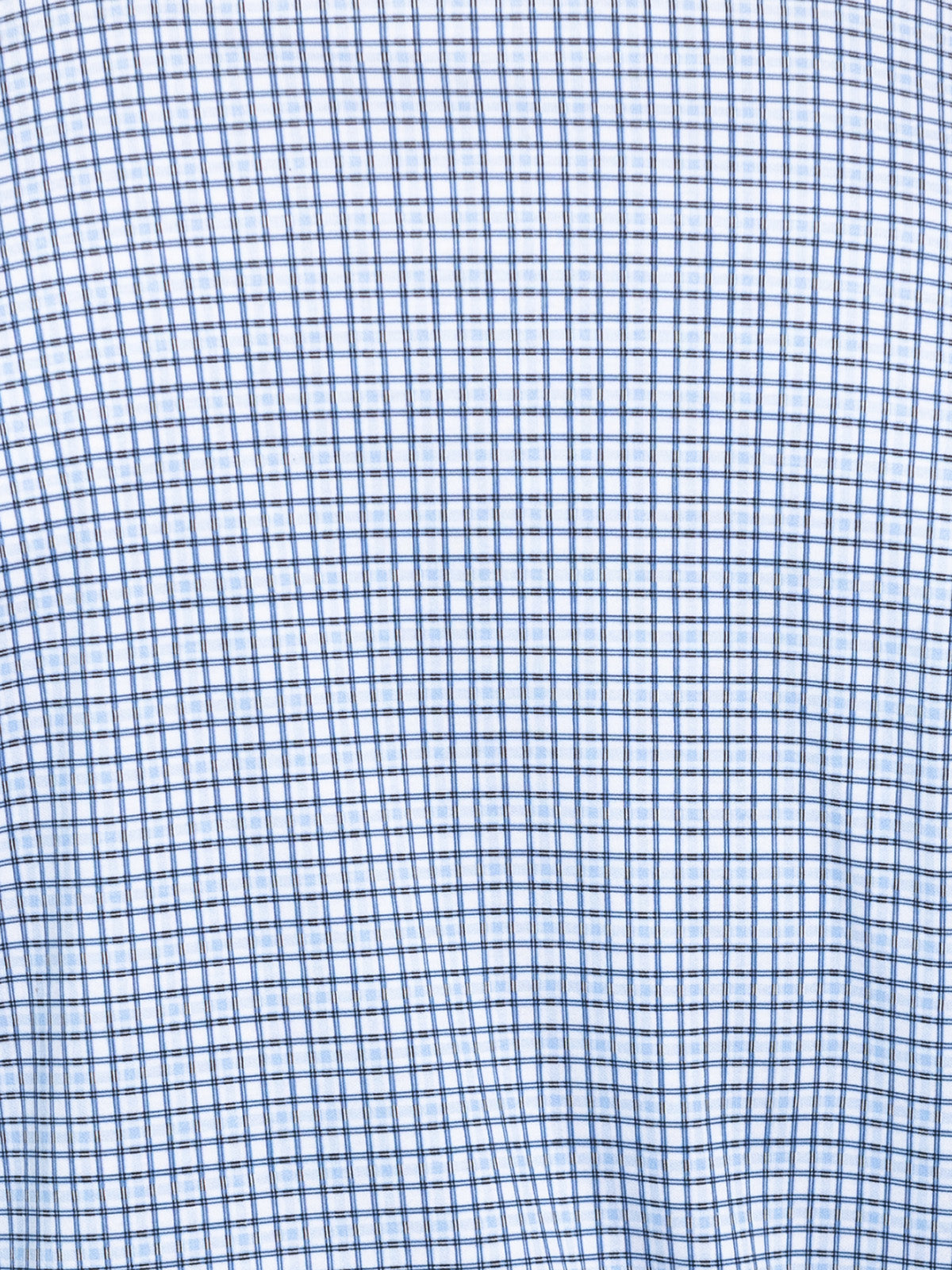 WHITE/BLUE