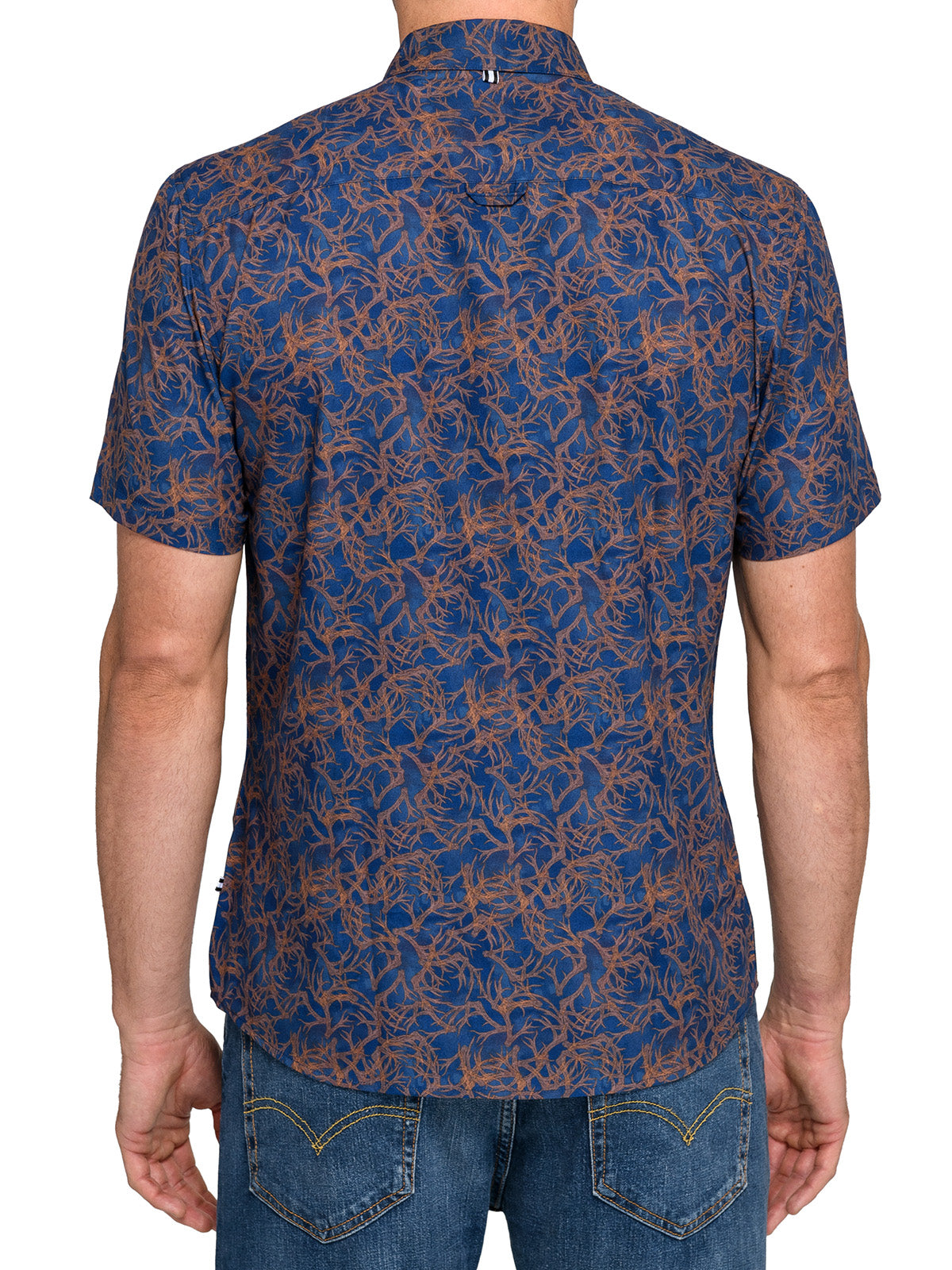 BROWN/BLUE